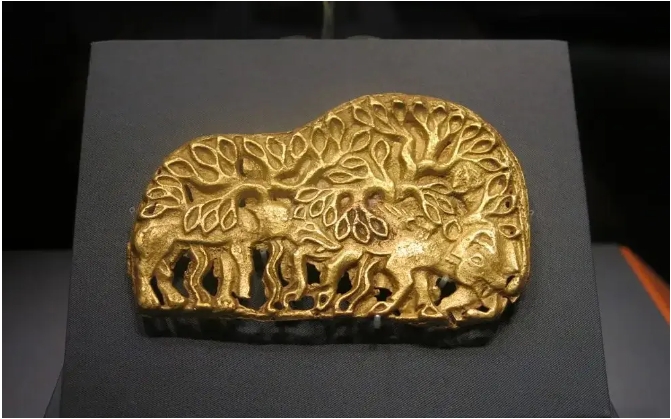 微信截图_20241026091453.png